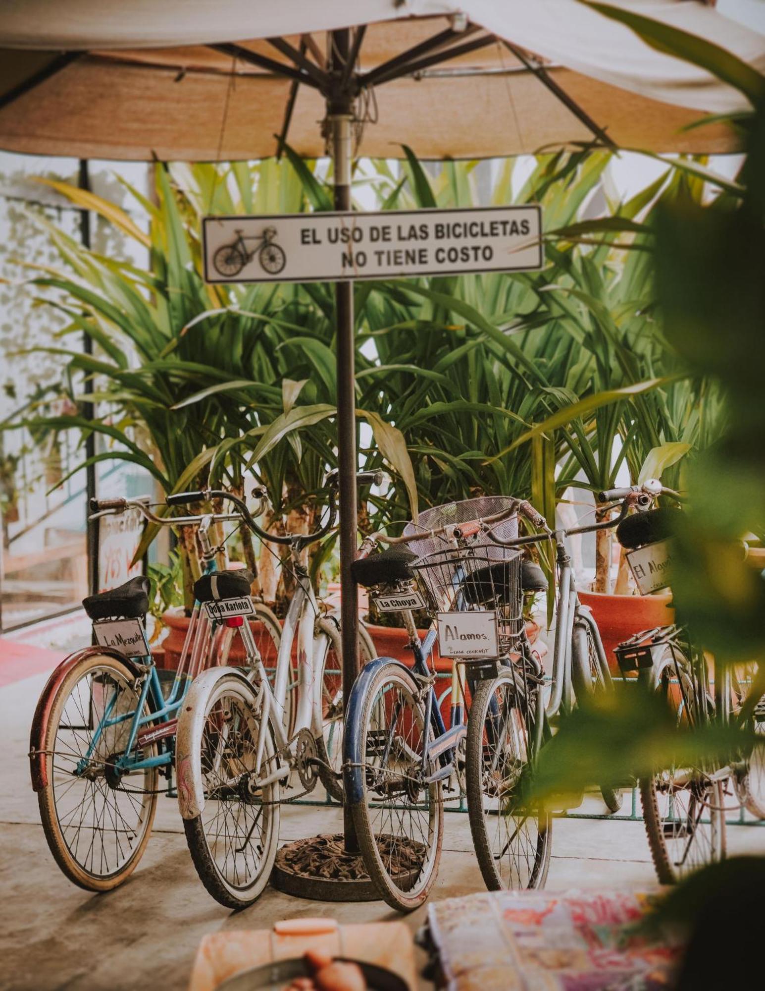 Casa Conicarit Hotel Puerto Escondido  Eksteriør billede